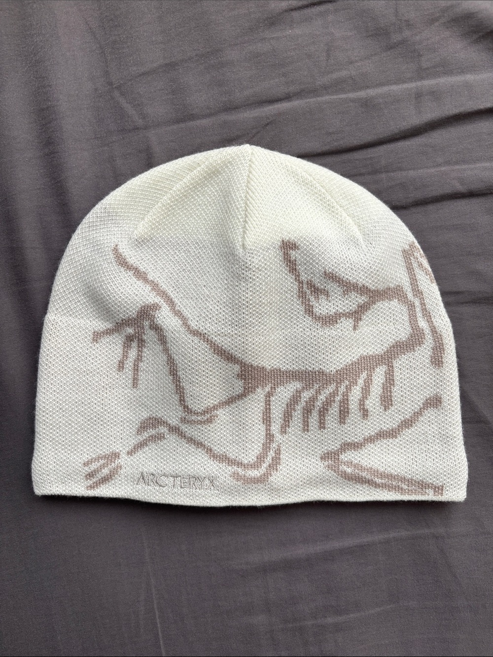 Arc’teryx Bird Head Toque Beanie Neutral